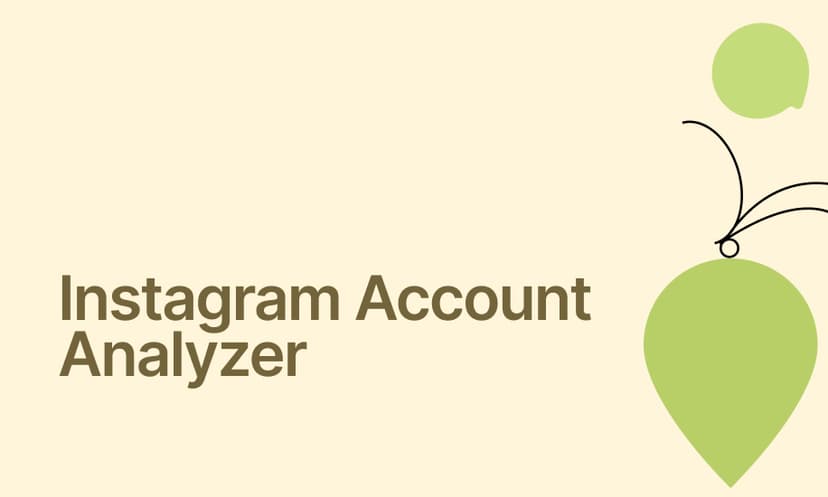 Instagram Account Analyzer