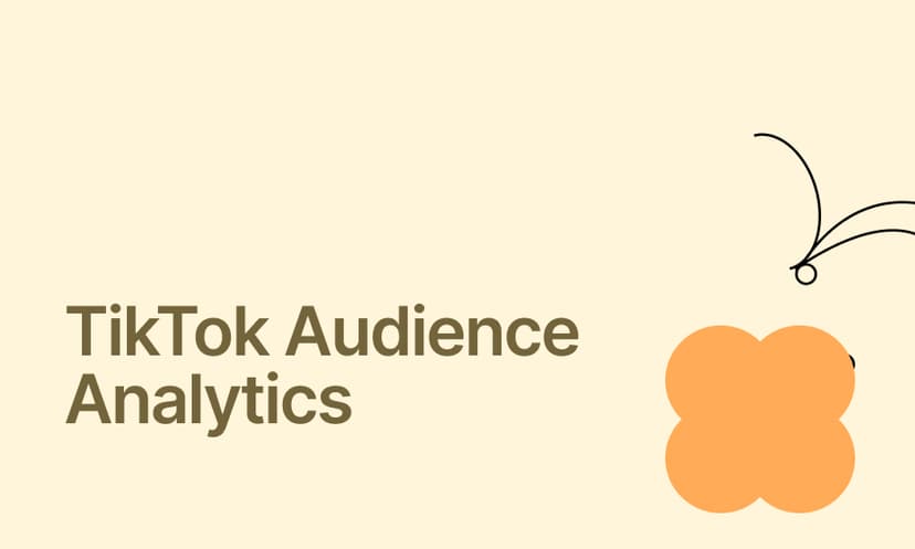 TikTok Audience Analytics